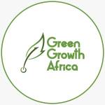 DigiHub Green Growth Africa Profile Picture