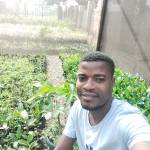CLOVER-GREEN Fruit Tree Plant Nursery and Landscaping ug Profile Picture