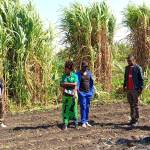 Laston Foster Profile Picture