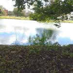 Justine Livingi Profile Picture