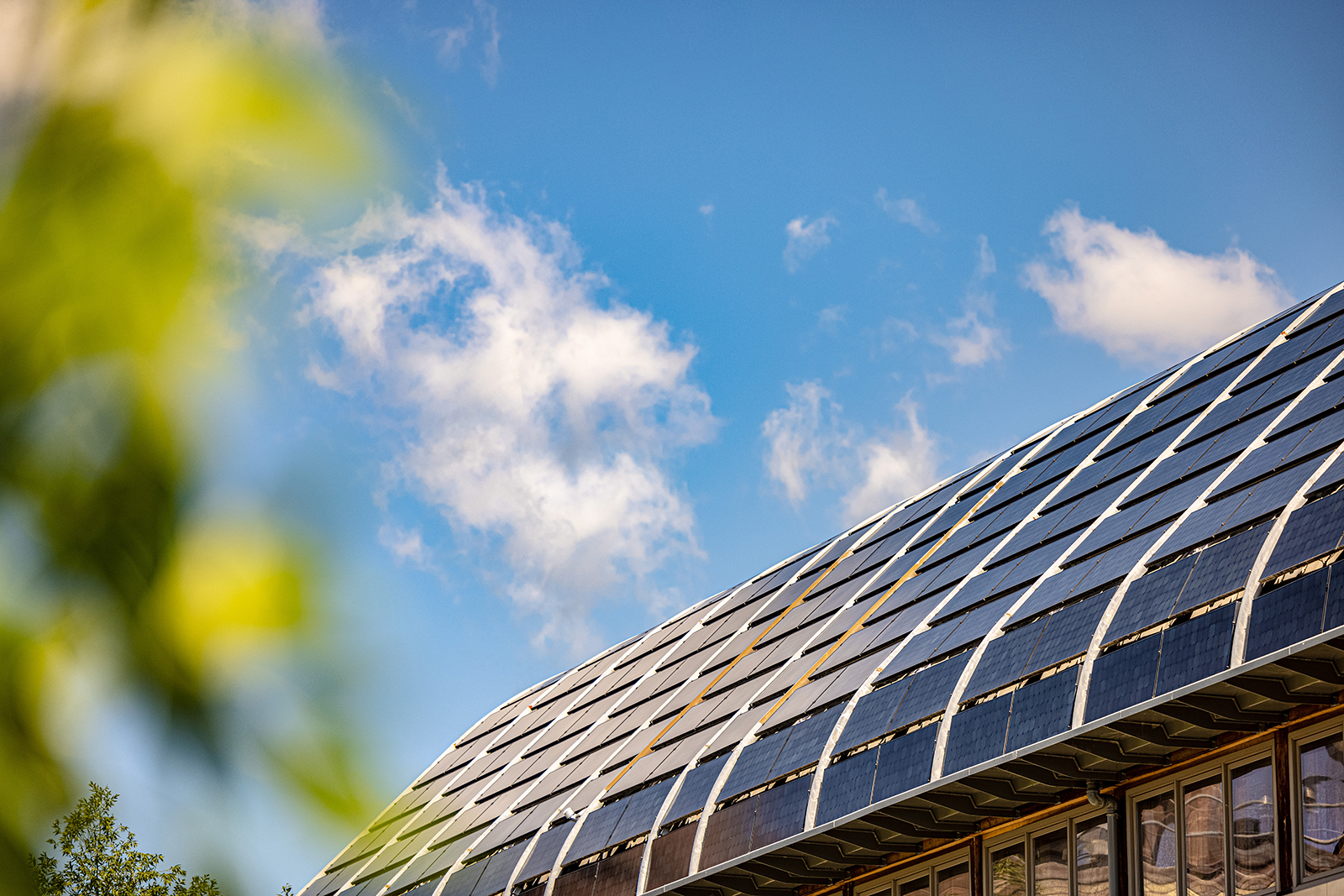 Emerging Climate Leaders Fellowship - Yale Jackson School of Global Affairs