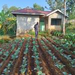 Emmanuel kepha Onyango Profile Picture